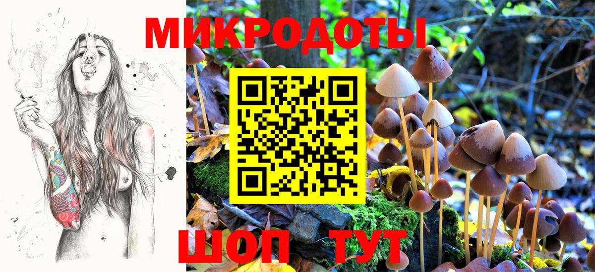 Псилоцибиновые грибы мицелий Чернушка